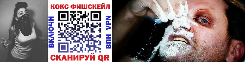 Купить закладки Анива Кокаин Fish Scale