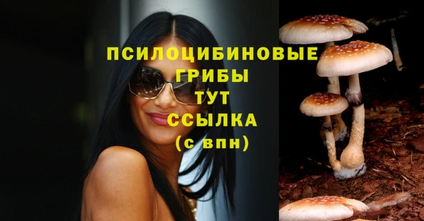 марки nbome Медвежьегорск