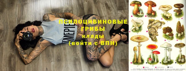 марки nbome Медвежьегорск
