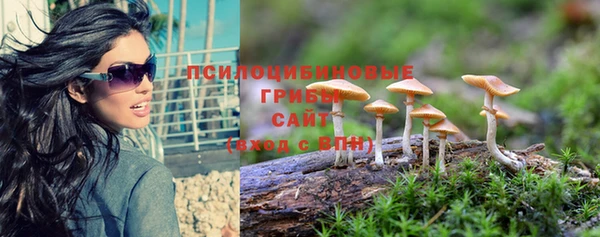 MDMA Premium VHQ Медногорск