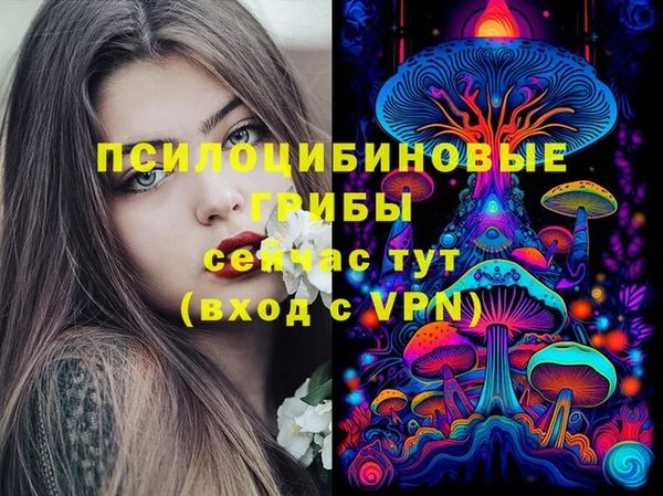 марки nbome Медвежьегорск