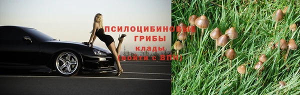 марки nbome Медвежьегорск