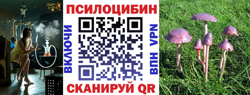 Купить где  Анива  Псилоцибиновые грибы Cubensis 